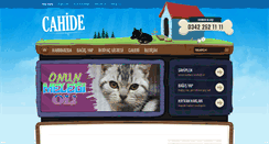 Desktop Screenshot of cahide.org