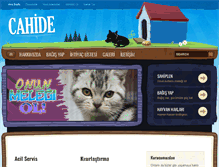 Tablet Screenshot of cahide.org